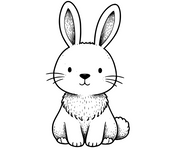 Hase